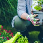 Top tips every beginner gardener should know
